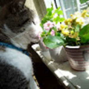 Meet your Posher, Jamie